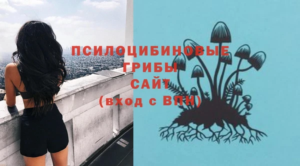 хмурый Куйбышев